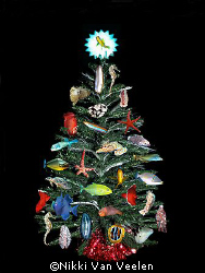 Xmas tree with a difference! Merry XMAS!! by Nikki Van Veelen 
